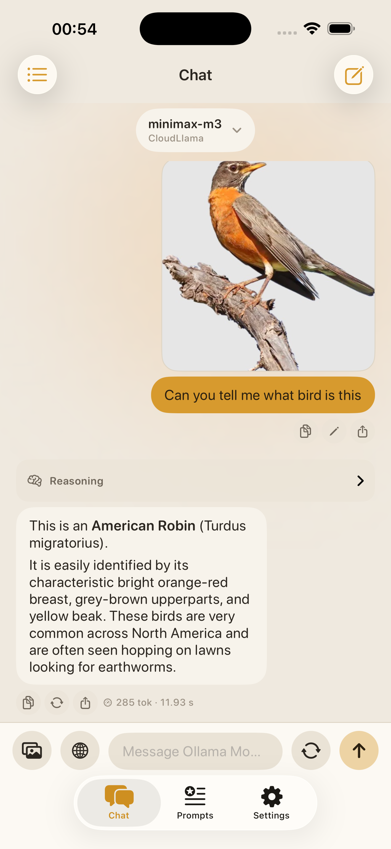Ollama Mobile – Visual question answering